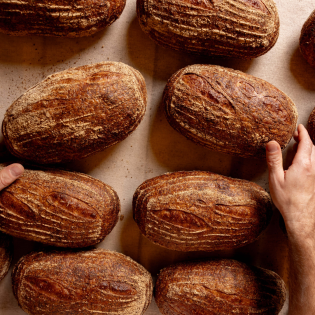 A Beginner's Guide to Sourdough