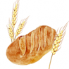Bread Ahead Schools What is Sourdough Workshop